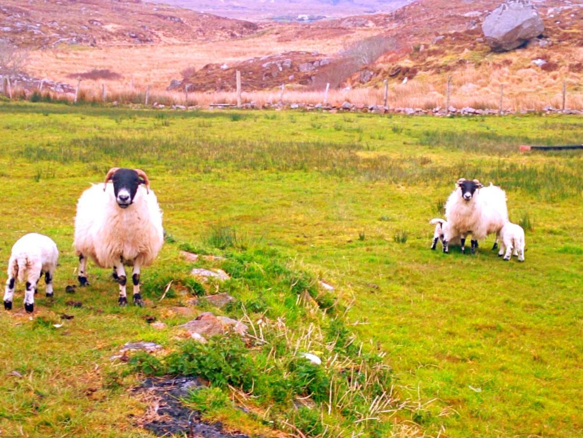 Donegal Cottage Donegal Town Екстер'єр фото