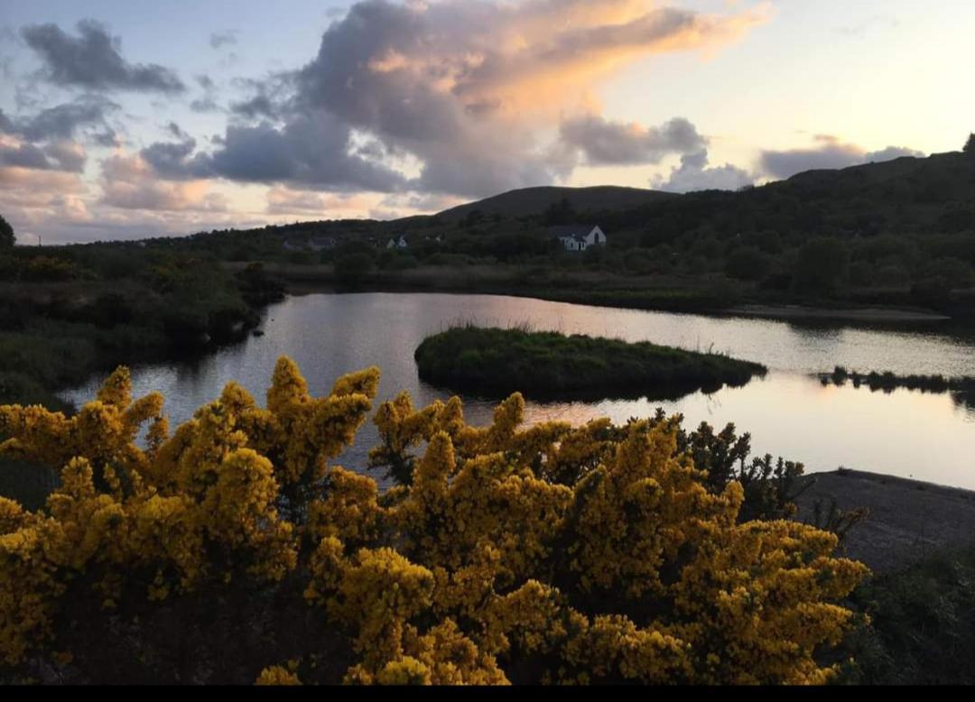 Donegal Cottage Donegal Town Екстер'єр фото