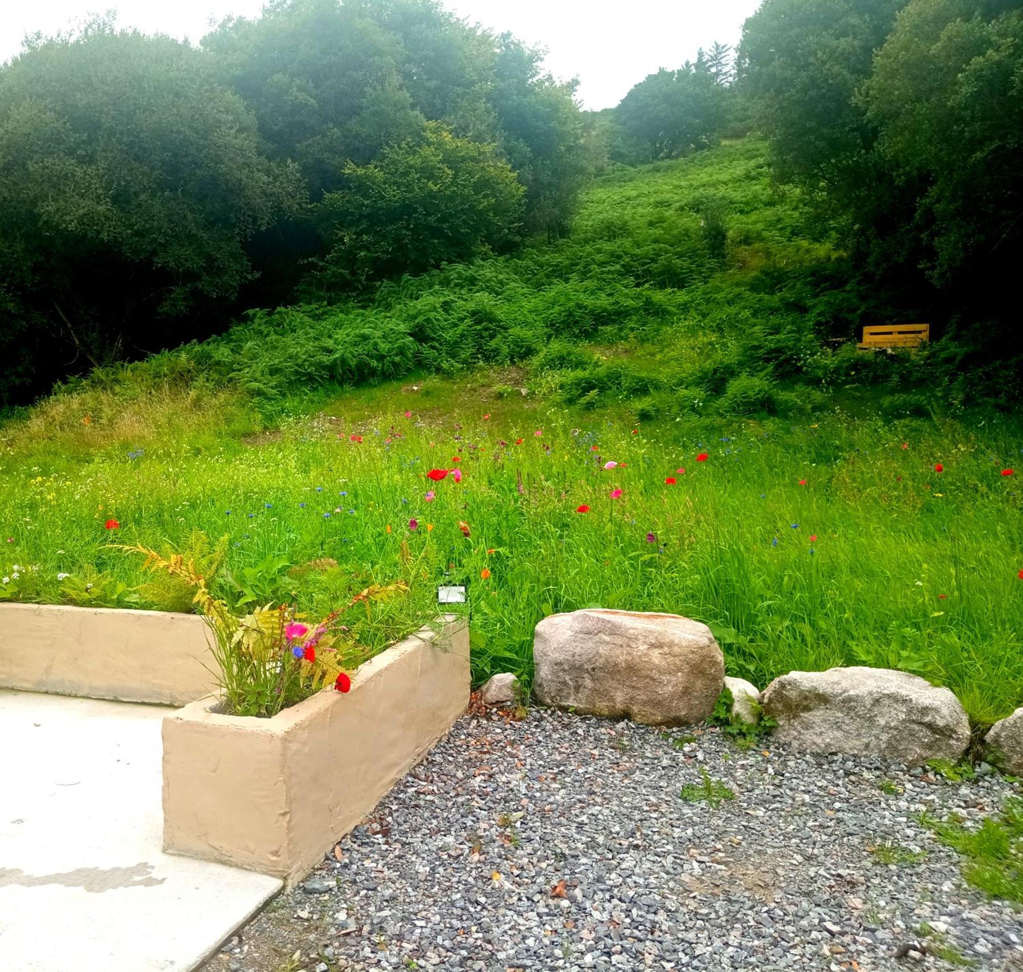 Donegal Cottage Donegal Town Екстер'єр фото
